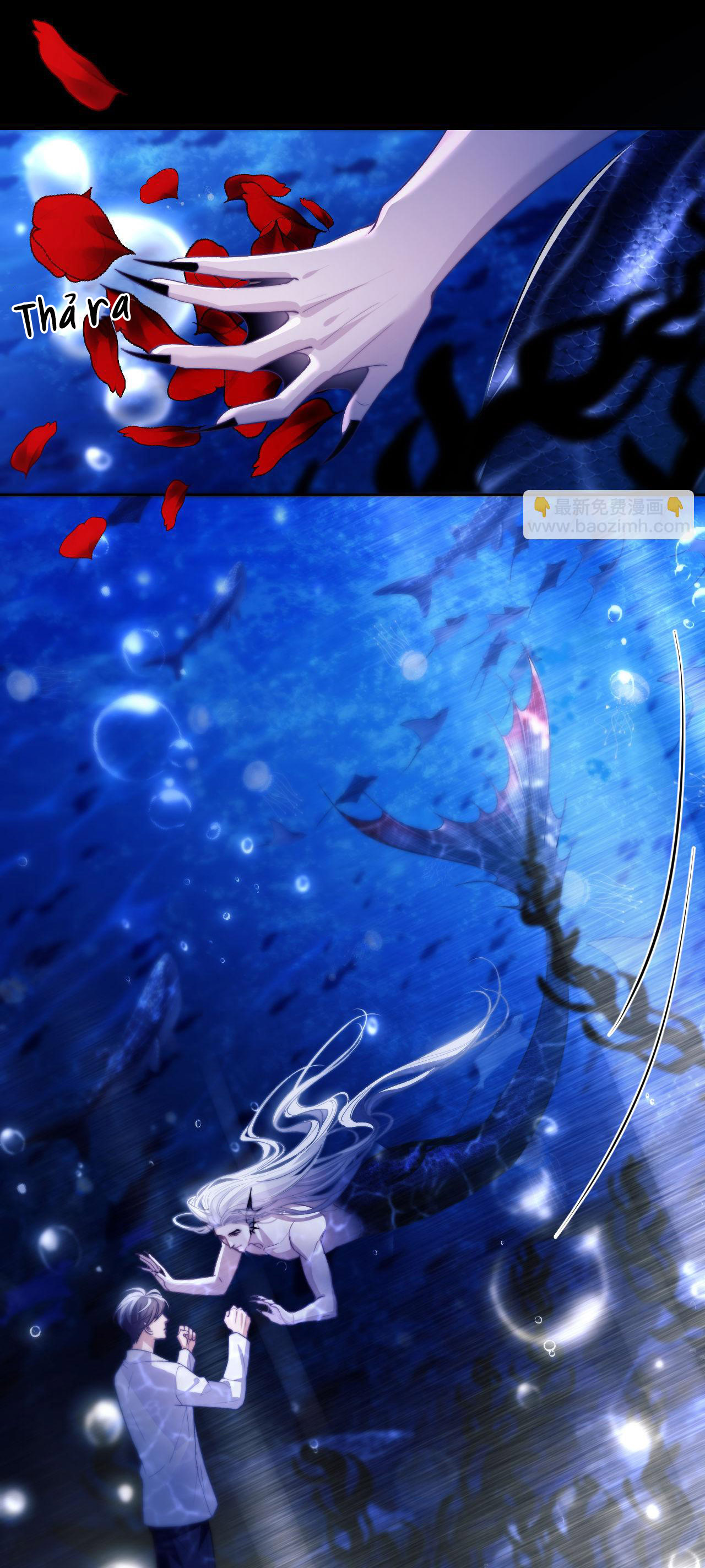 nhân ngư dessaro chapter 12 21