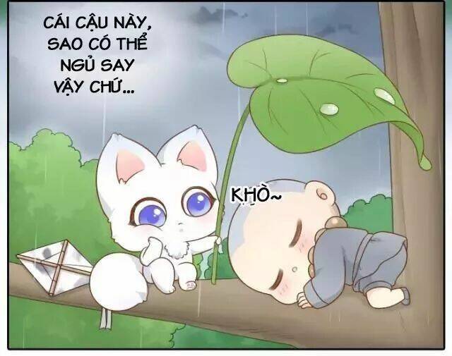 tiểu hồ ly vs tiểu hóa thượng chapter 42 7