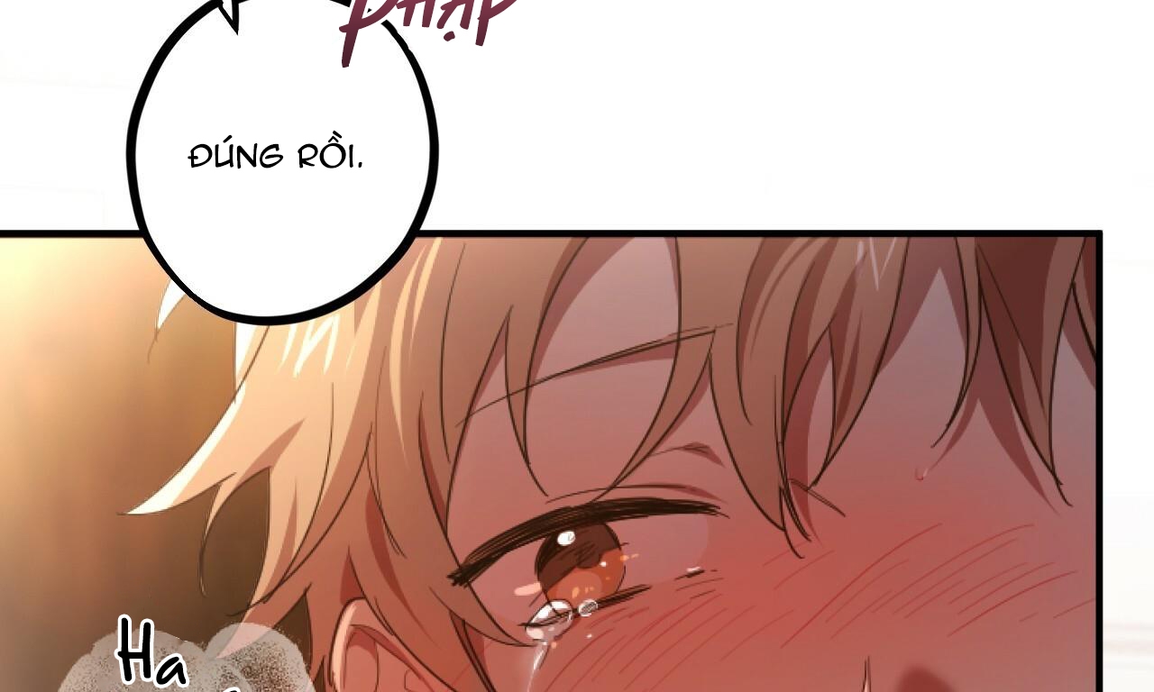 đàn thỏ của habibi chapter 33 178