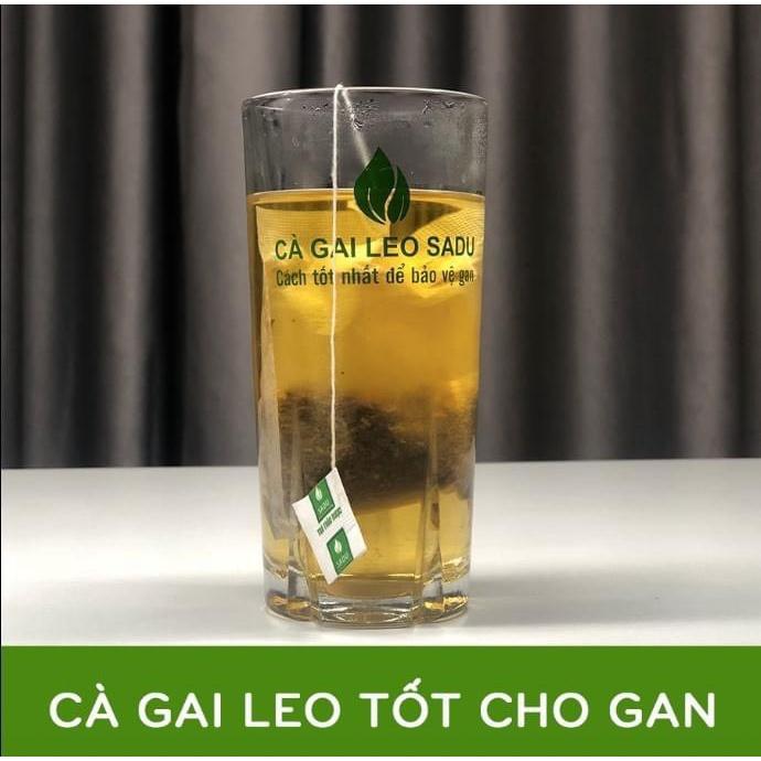 Hộp trà túi lọc cà gai leo sadu combo 6 hộp trà cà gai leo 150gr, hỗ trợ mát gan, giải độc gan, men gan cao