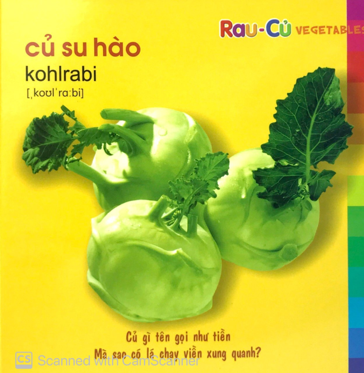 Bé Khám Phá Môi Trường Xung Quanh - Rau Củ _ML