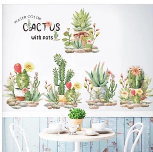 Decal trang trí tường - Những cây xương rồng và sen đá