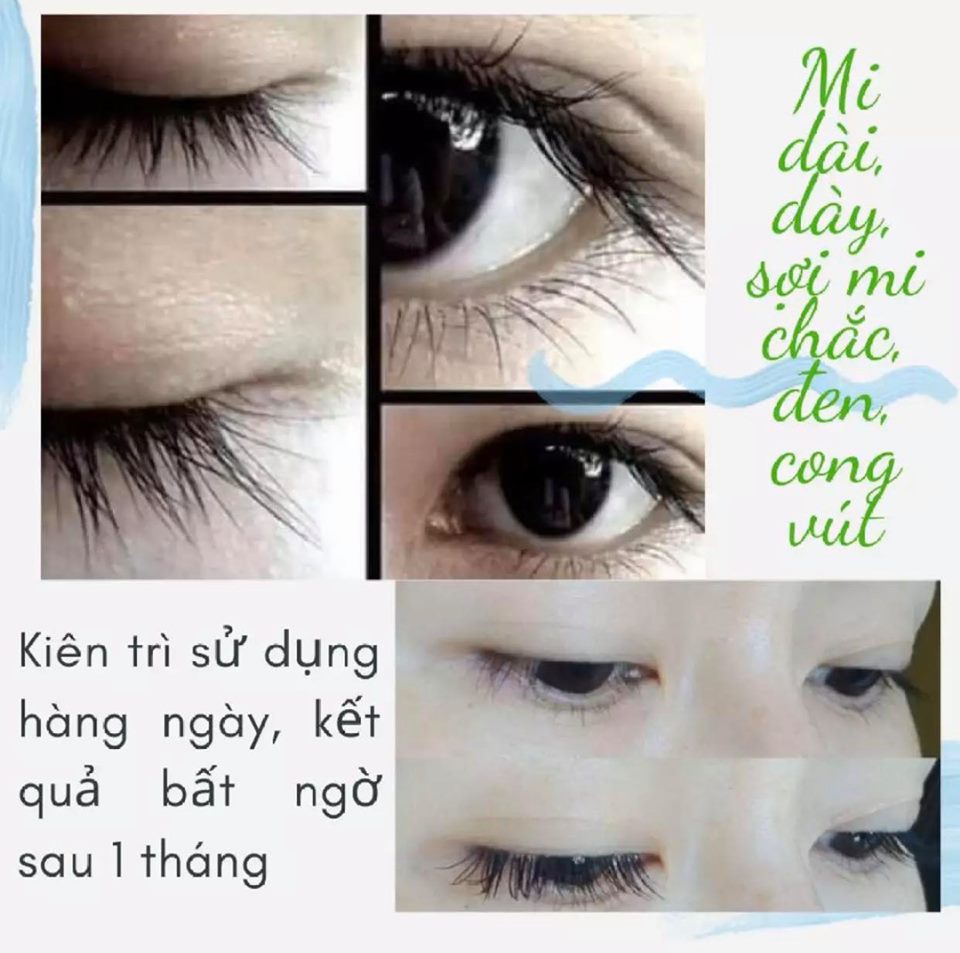 CHUỐT DƯỠNG LÀM DÀI, DÀY LÔNG MI VÀ MÀY MẸ KEN