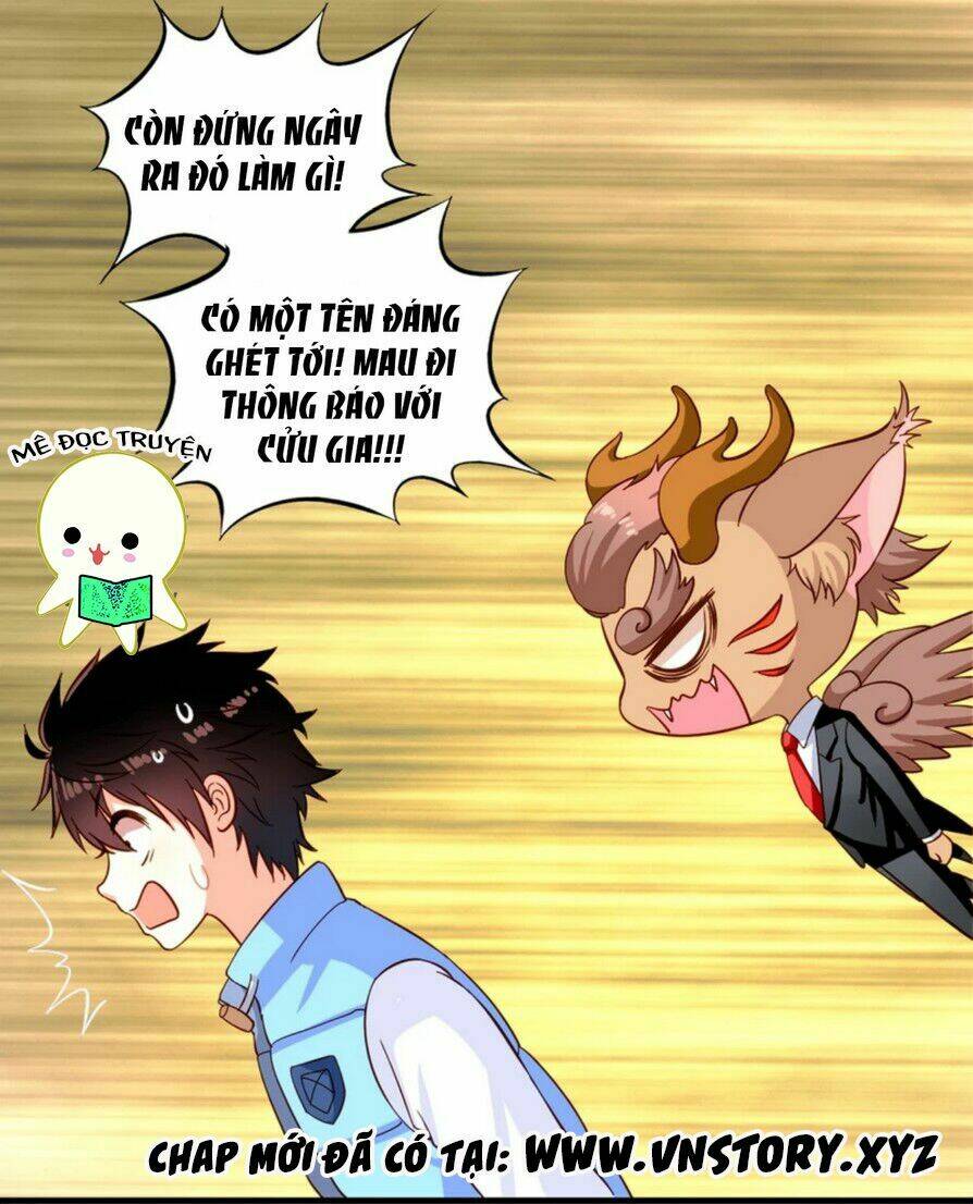ông chủ của tôi là yêu quái chapter 11 6