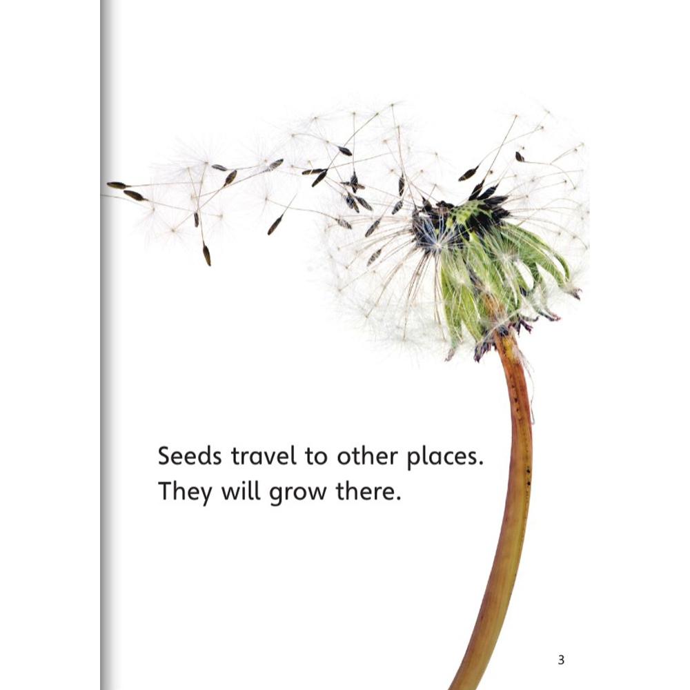 [Compass Reading Level 1-7] Seeds Travel - Leveled Reader with Downloadable Audio