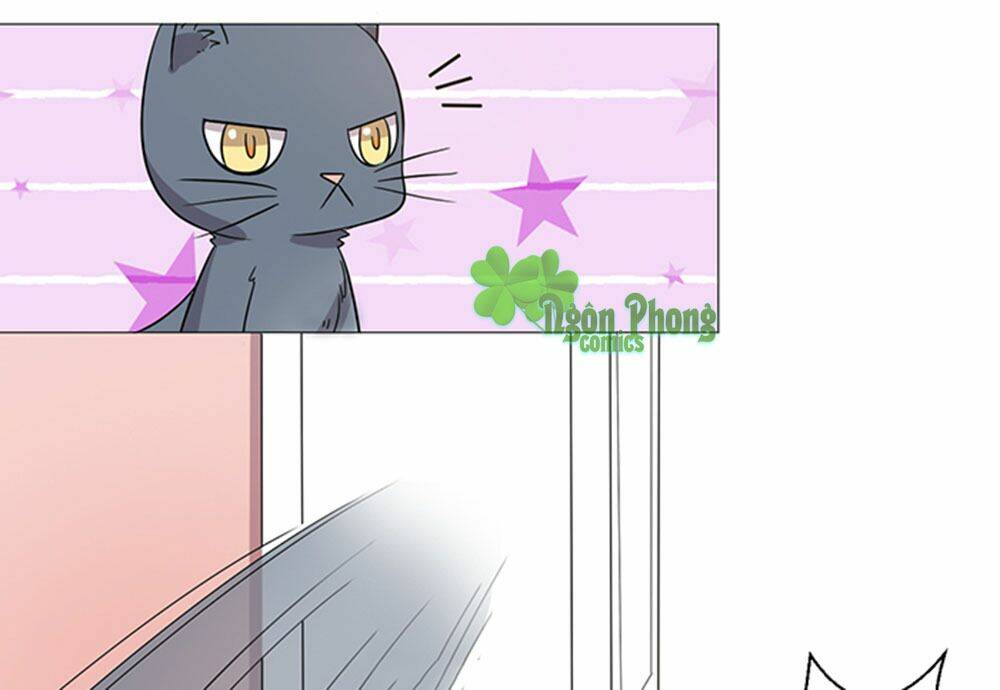 hai chú mèo totem chapter 37 49