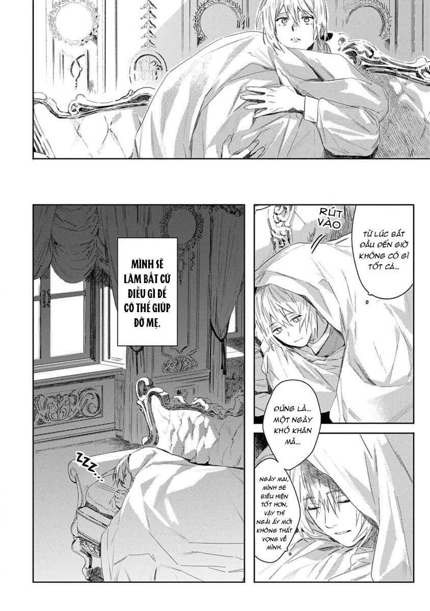 tình yêu hoa hồng dại chapter 1 36