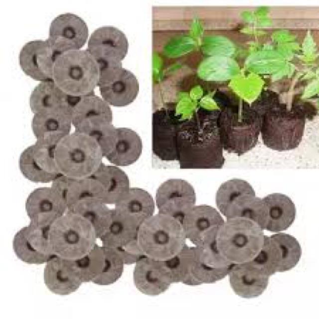 Set 2 Viên nén xơ dừa ươm hạt giống