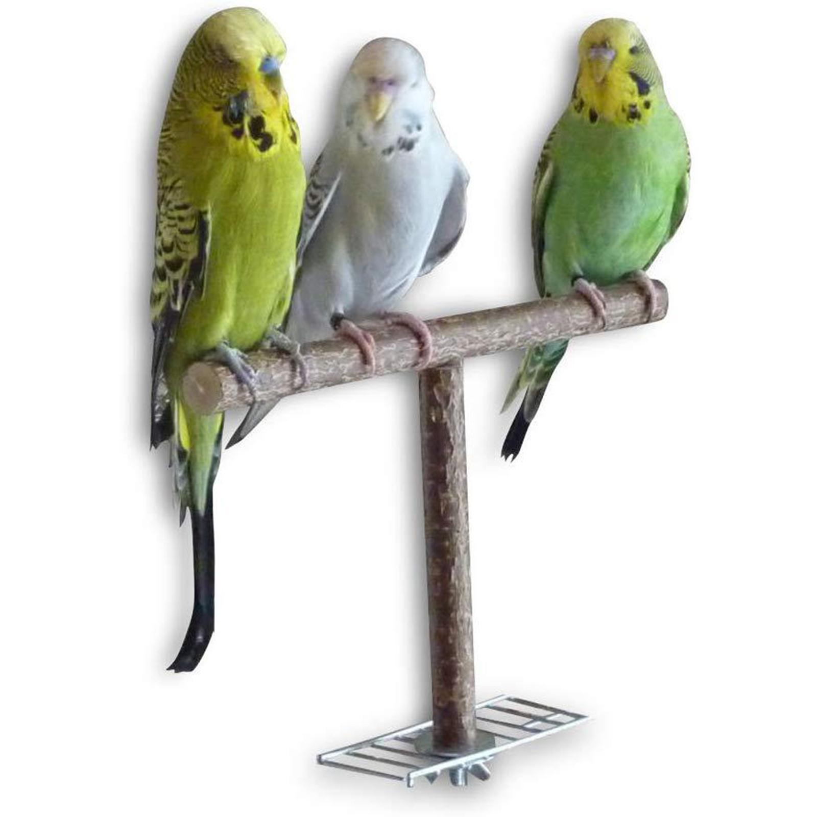 Chew Cockatiel Toy Bird Paw Grinding Bird Cage Accessories Parrot Stand Parrot Wooden Perch Bird stand Cockatiel Budgie Conures Exercise