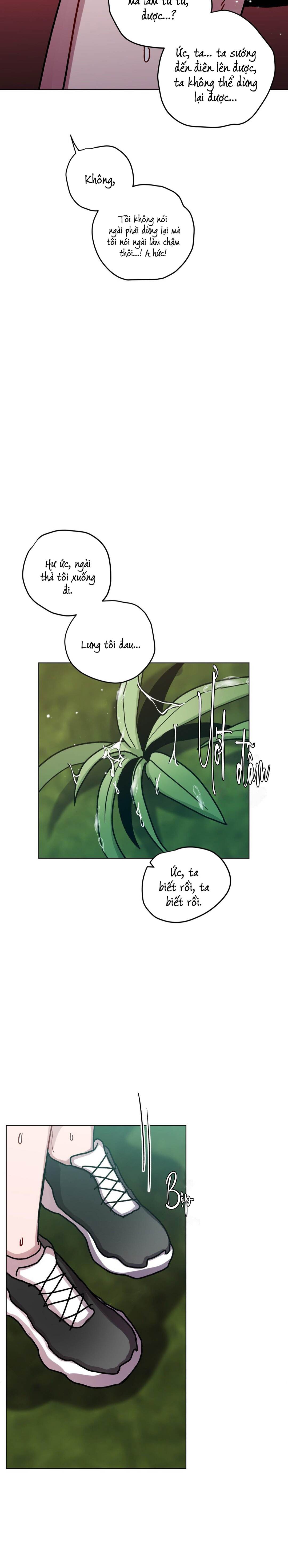 cơn mưa rào mùa hạ chapter 89 17