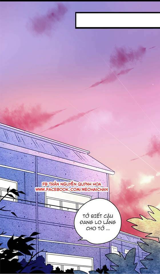 quỷ nhát gan và mã đại cáp chapter 2 8