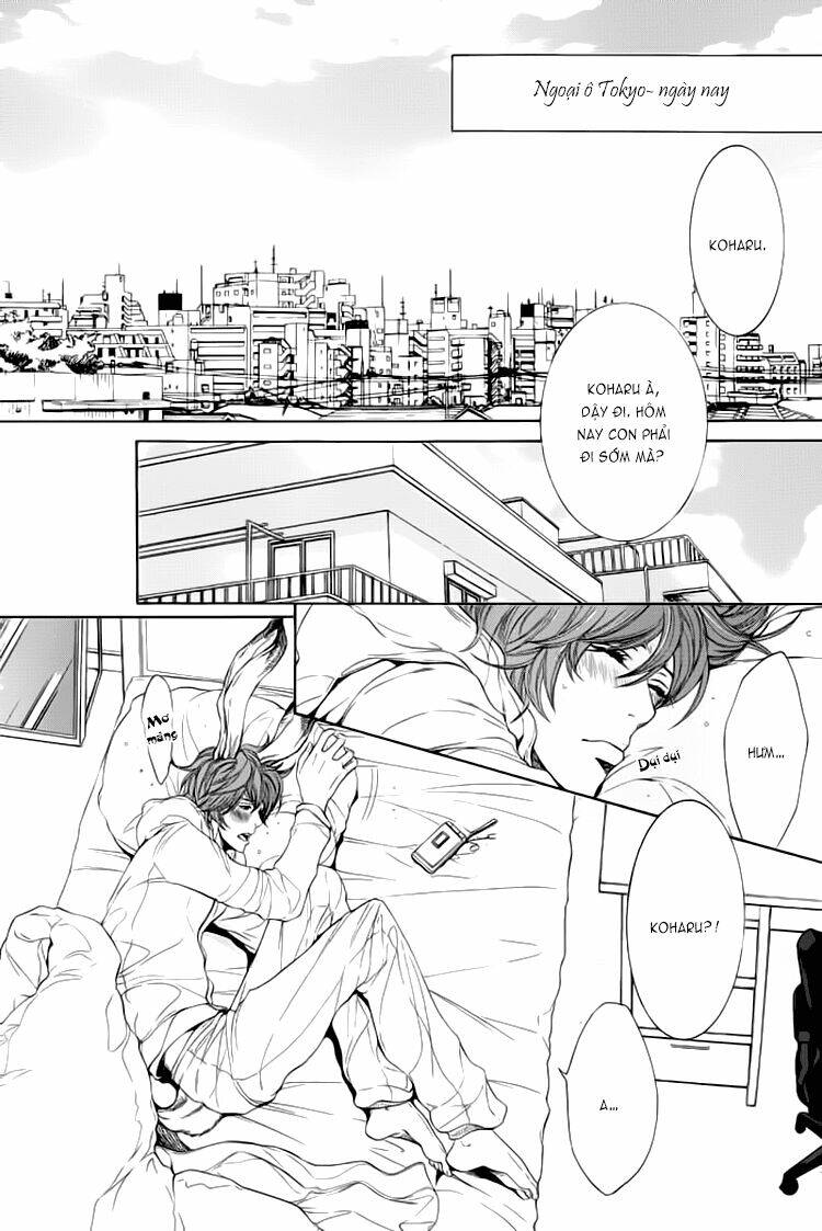 oinarisama no honey bunny chapter 1 12