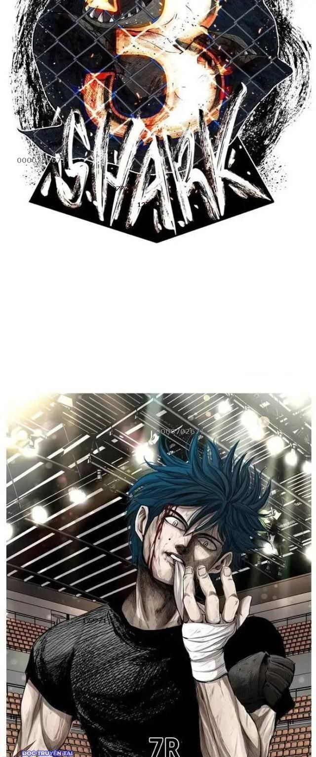 shark - cá mập chapter 128 2