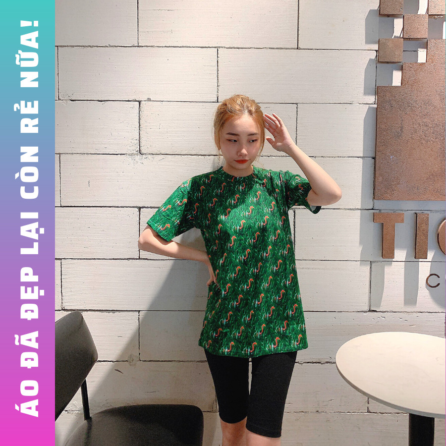 Áo thun nữ freesize chất liệu thun cotton 100% ÁO ĐẸP - GIÁ RẺ - HÌNH CHỤP THẬT . CÓ THỂ LÀM ÁO CẶP BẠN THÂN NỮ