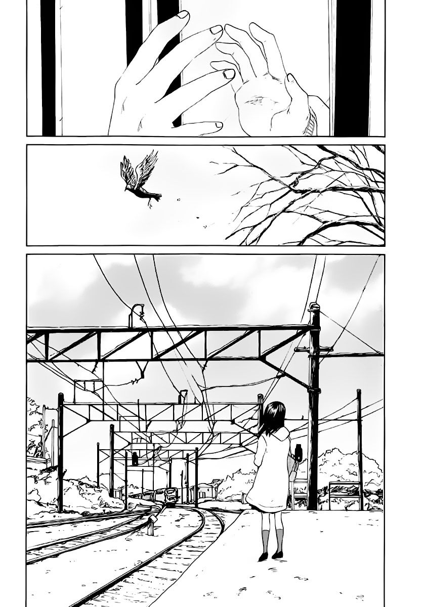 5 centimeters per second (5cm/s) chapter 3 44