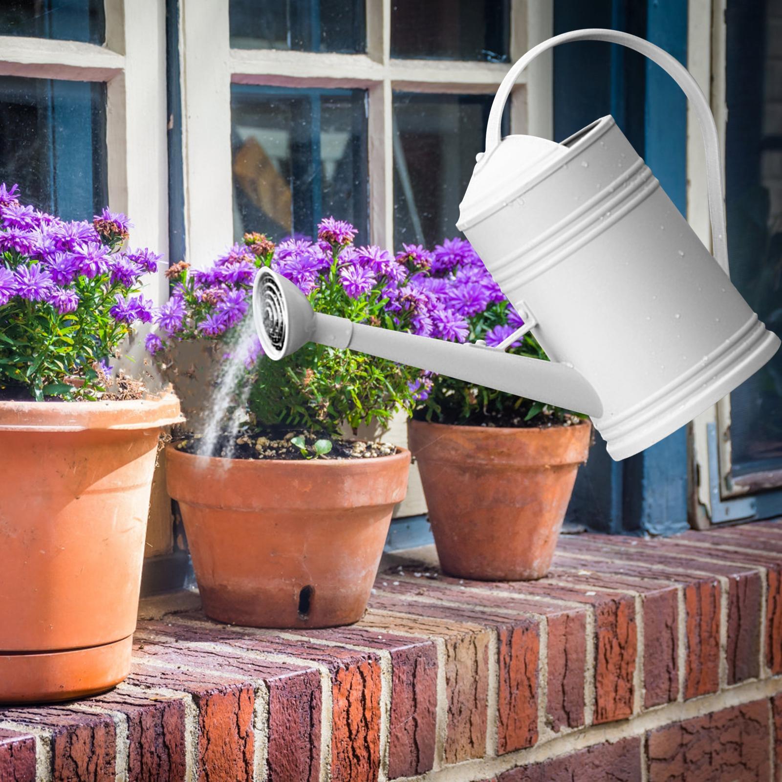 Watering Can Flower Watering Sprinkler Head for Indoor Garden