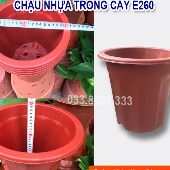 10 Chậu Nhựa Nâu Trồng Cây E260 - Chậu Bền Đẹp