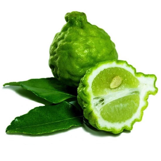 Cây Chanh chúc Thái lan cây đẹp.