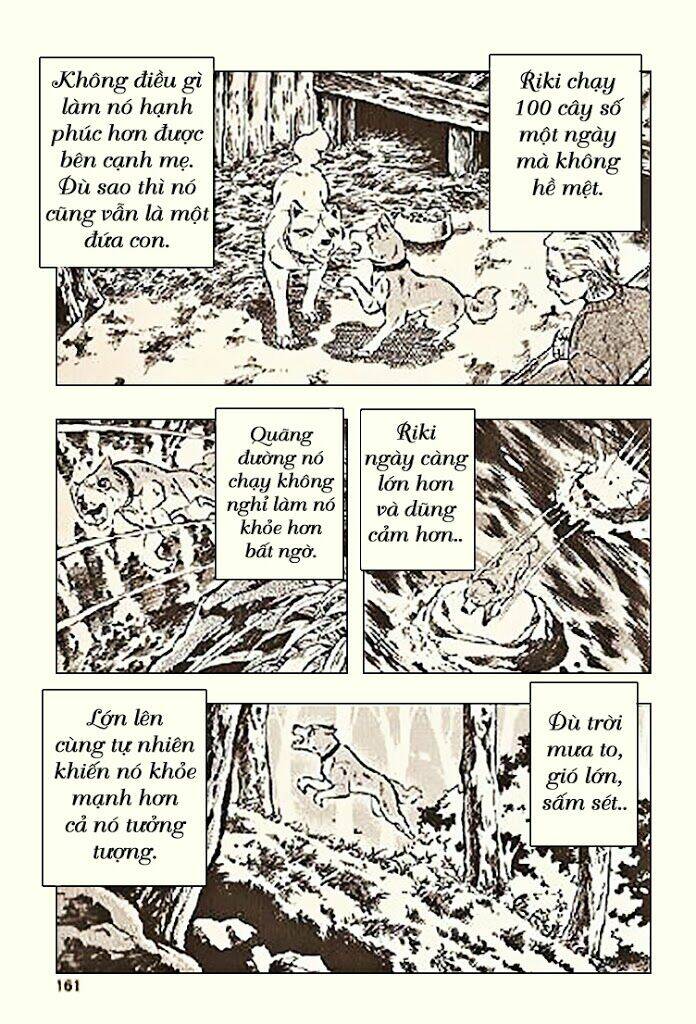 ginga densetsu riki chapter 5 25