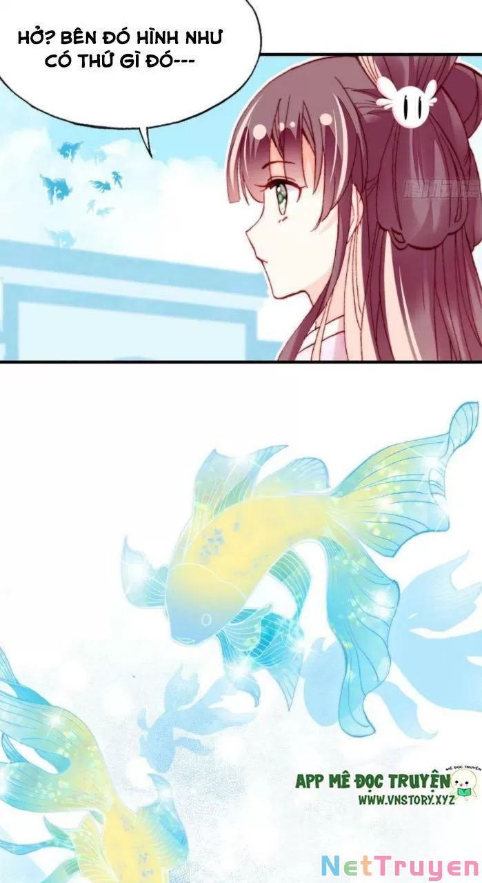 lại bị bệnh chiều chuộng quấn lấy chapter 33 33