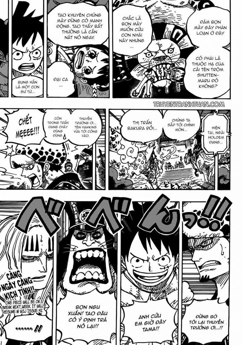 đảo hải tặc - one piece chapter 916 16