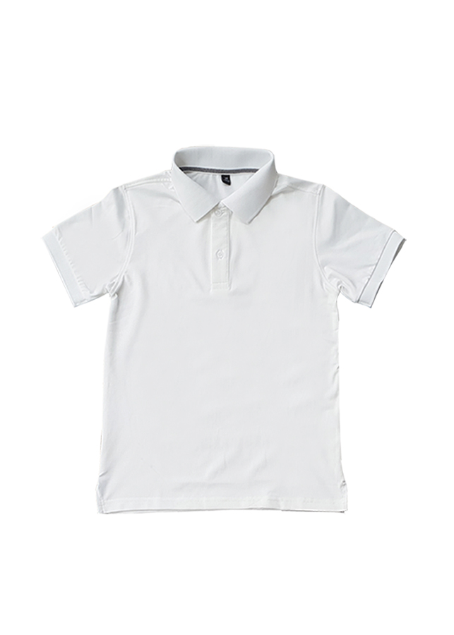 Áo Thun Cá Sấu Trơn Nam