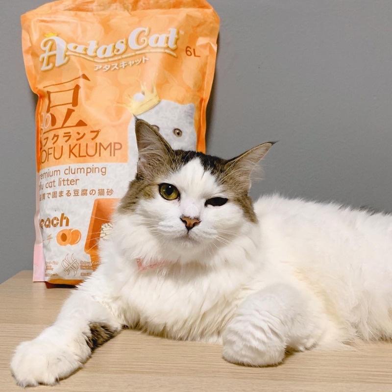 CÁT ĐẬU NÀNH AATAS CAT_ TOFU CAT LITTER