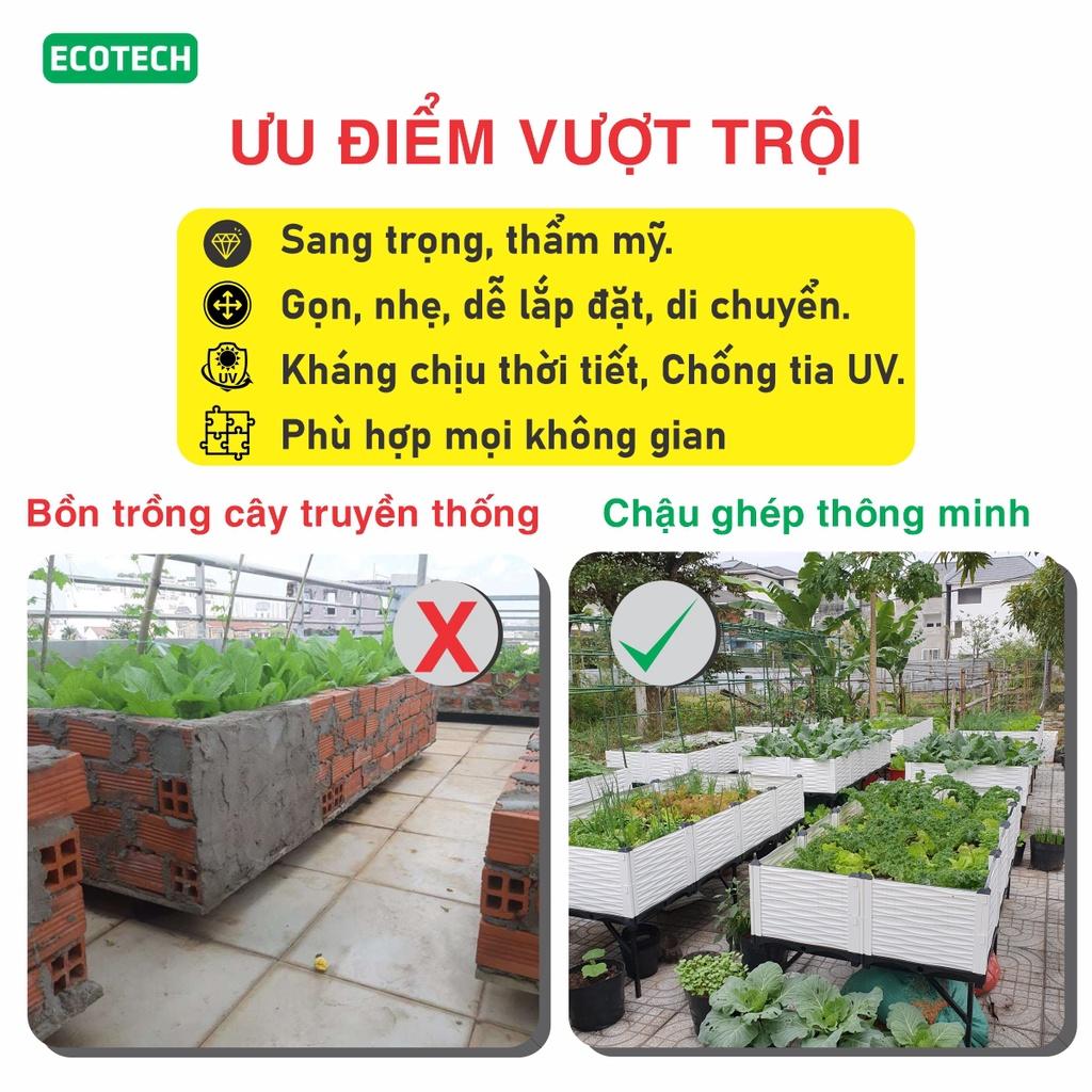 Chậu trồng rau lắp ghép. KT 150x50 cao 55 cm.Đáy thoát nước chống ngập úng.Sang trọng - Thẩm mỹ - Bền hơn 10 năm.Bảo hành 1 năm toàn quốc