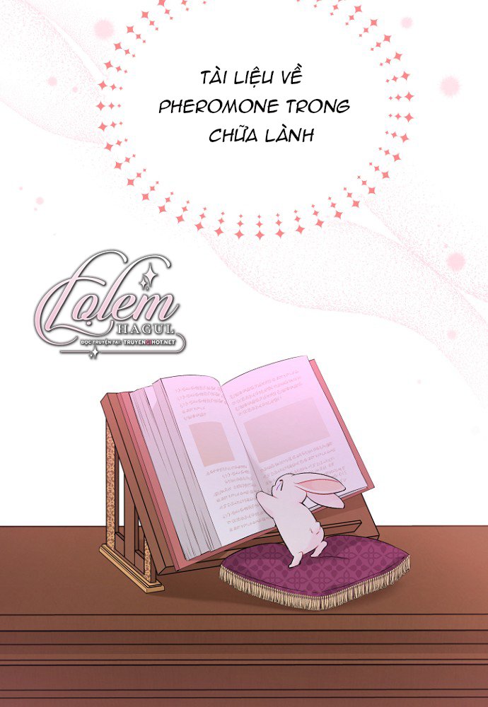 mối liên kết giữa báo đen và bé thỏ chapter 47 60