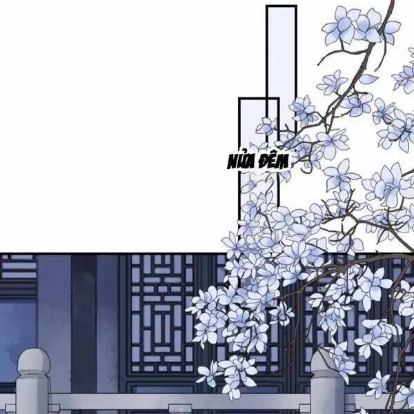 sủng phi của vương chapter 132 8