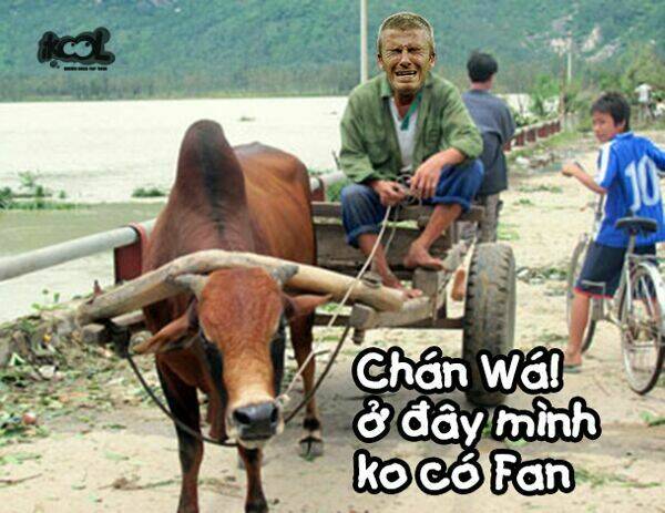 just troll chapter 24 1