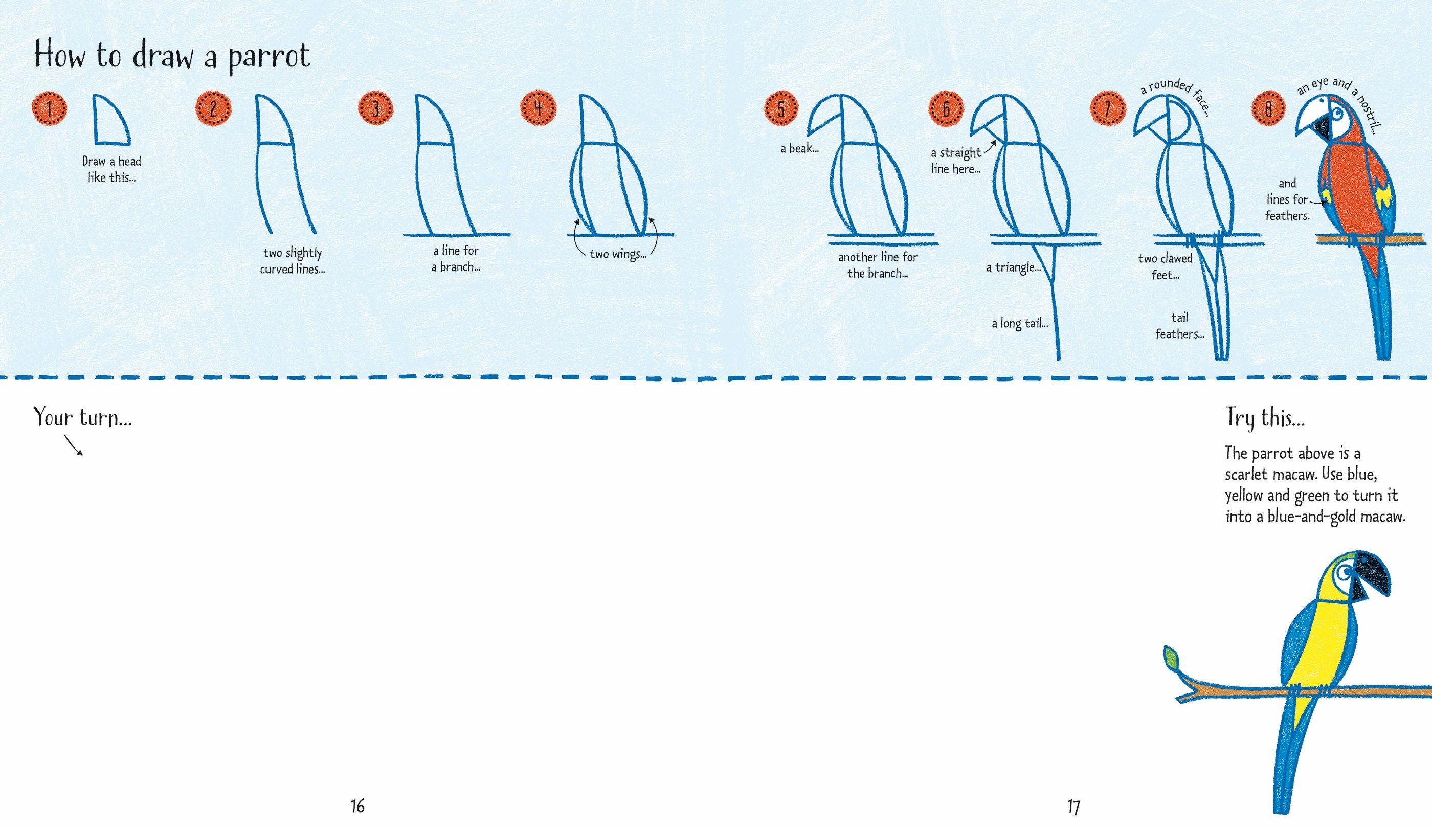 Step-by-step Drawing Zoo Animals