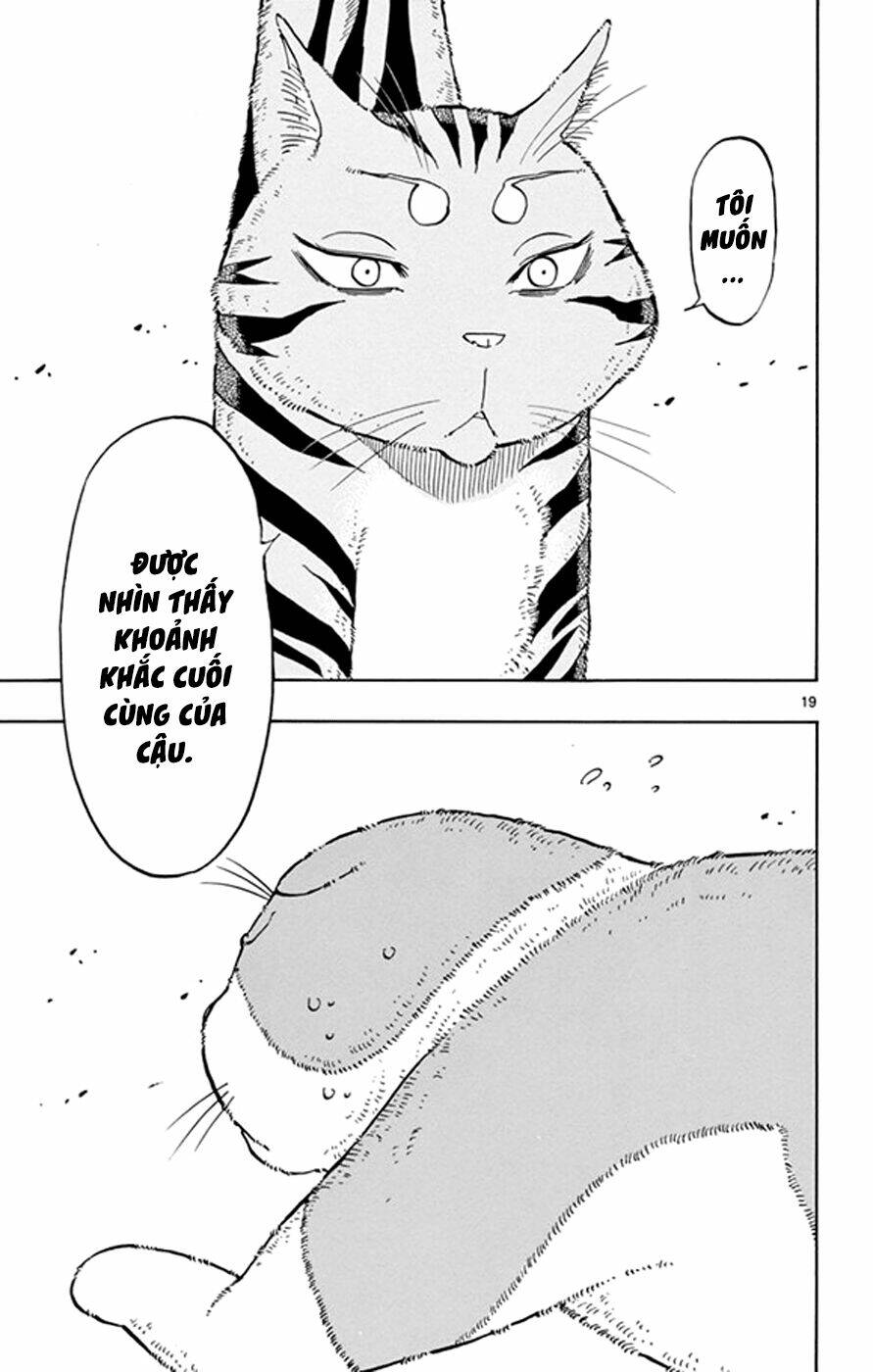 saike mata shite mo chapter 17 20