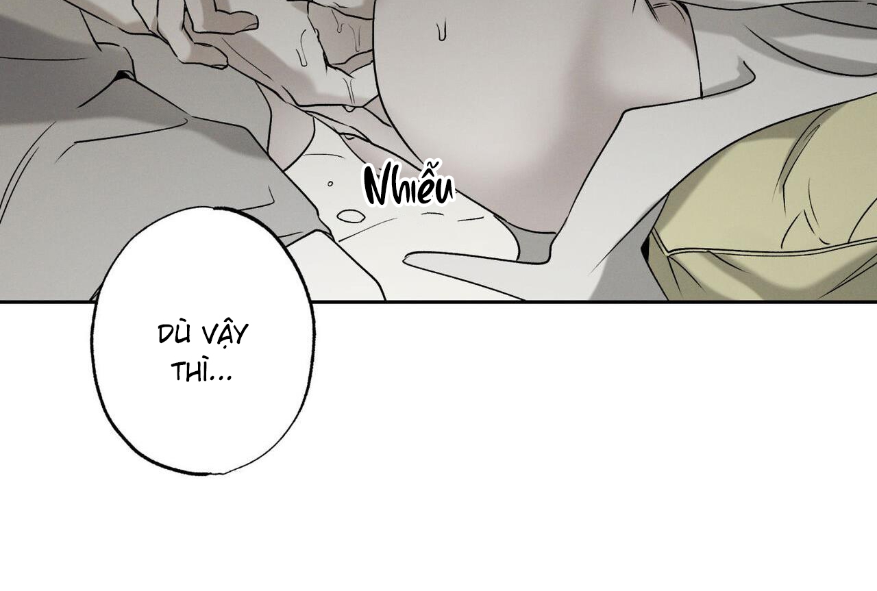 chàng giao pizza và gold palace chapter 45 206