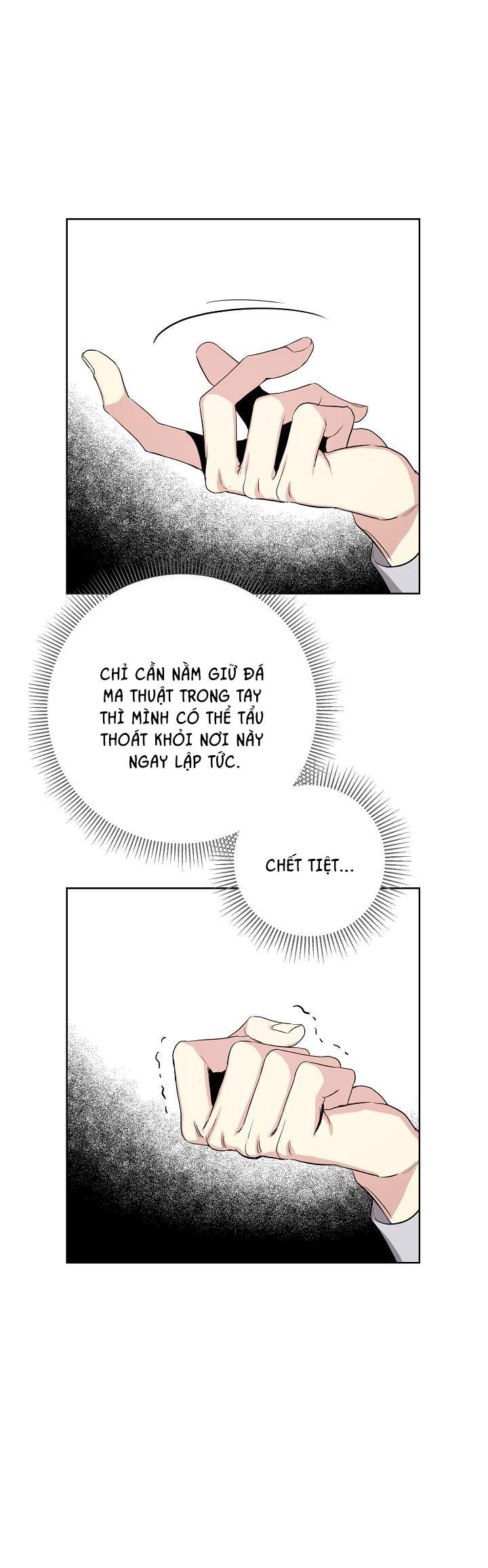 hai đất nước, đất nước của nô lệ chapter 8 14