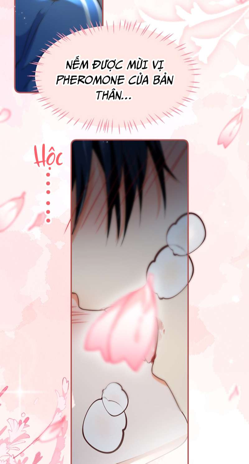 tín tức tố nói chúng ta không thể chapter 72 11