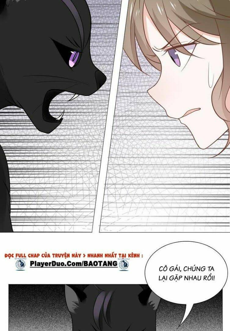 thập nhị hắc miêu chapter 10 17