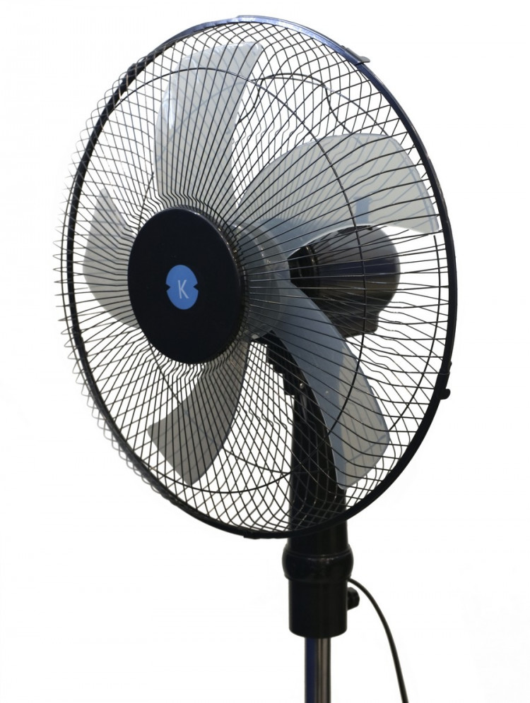 CÔNG TY CỔ PHẨN TMDV XUẤT NHẬP KHẨU NGÔI NHÀ SỐ