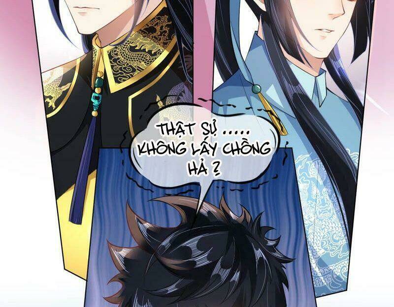 quận chúa vững vàng, thiết lập nhân vật không thể vỡ chapter 39 11