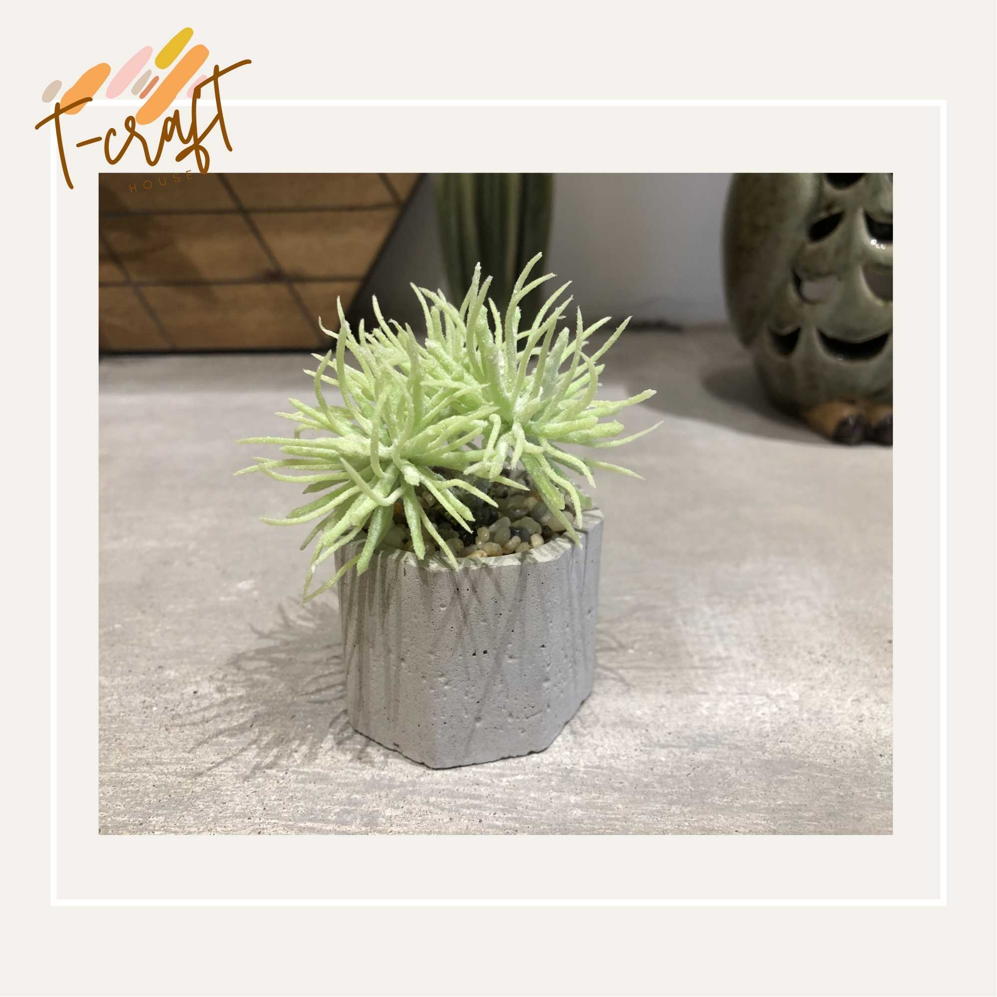 CÂY GIẢ CHẬU THẠCH CAO NHÀ LÀM NHIỀU MÀU SẮC CHO KHÔNG GIAN THÊM SỐNG ĐỘNG VÀ TƯƠI MÁT T.CRAFT HOUSE