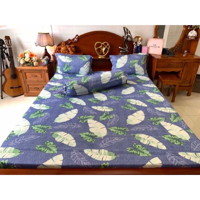 Drap thun hàn quốc