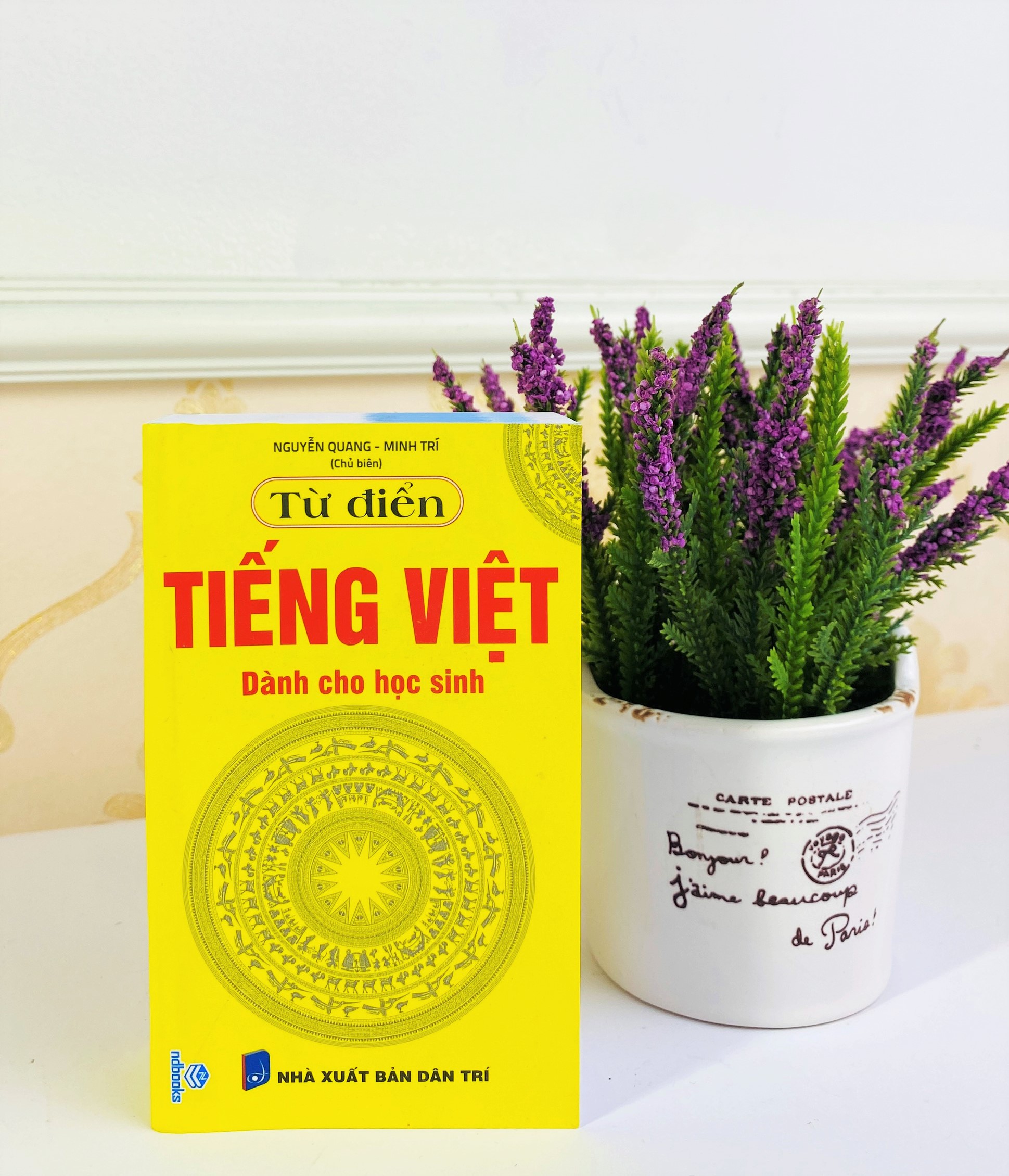 Sách - Từ Điển Tiếng Việt dành cho học sinh - ndbooks