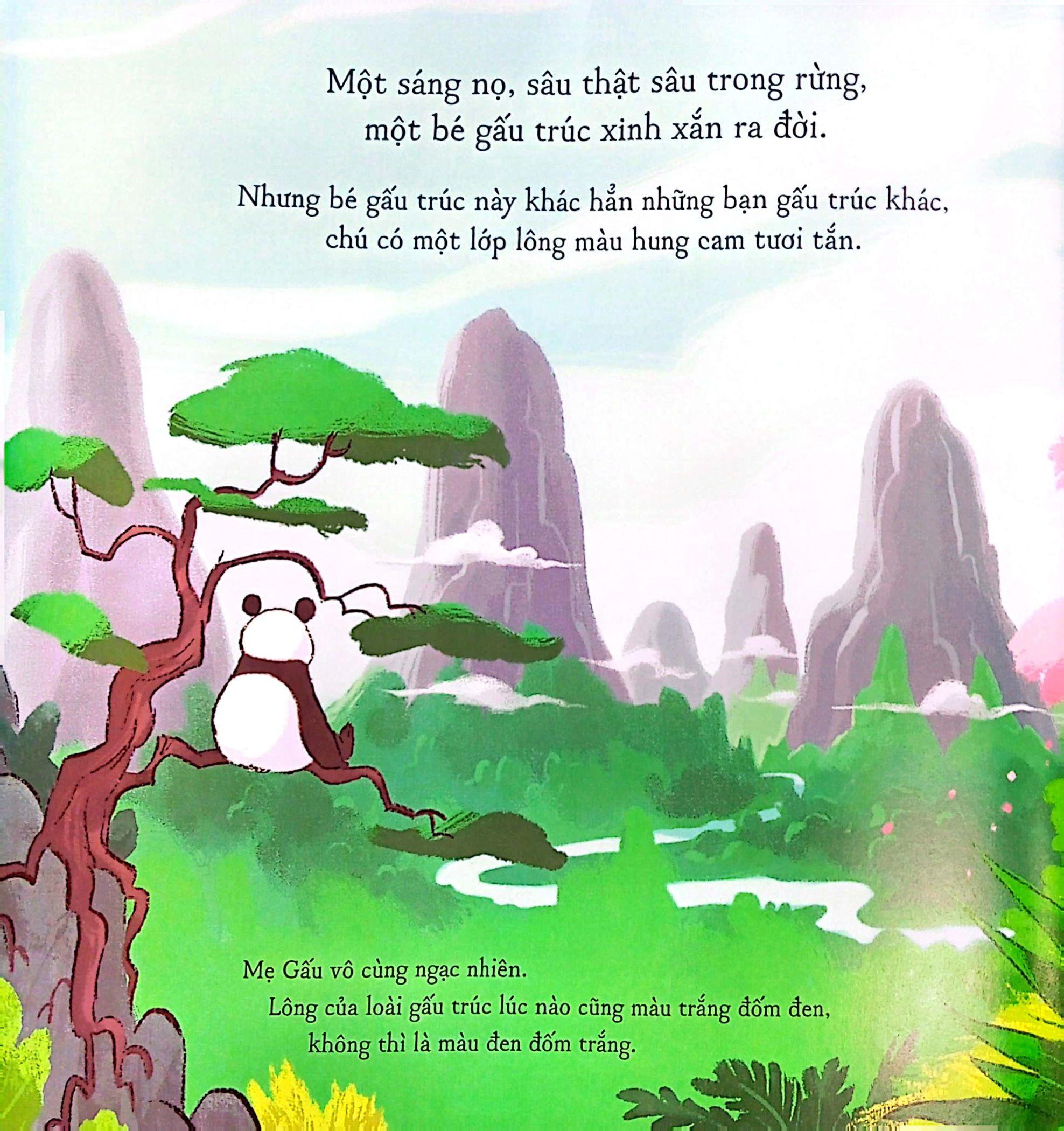 Sách - Gấu Trúc Mứt Cam