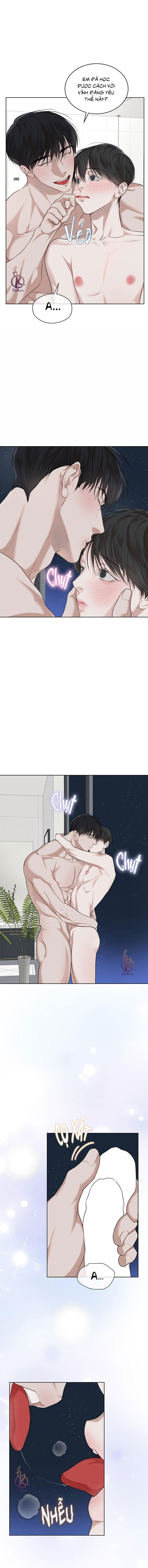 hình thái khởi sinh chapter 78 6