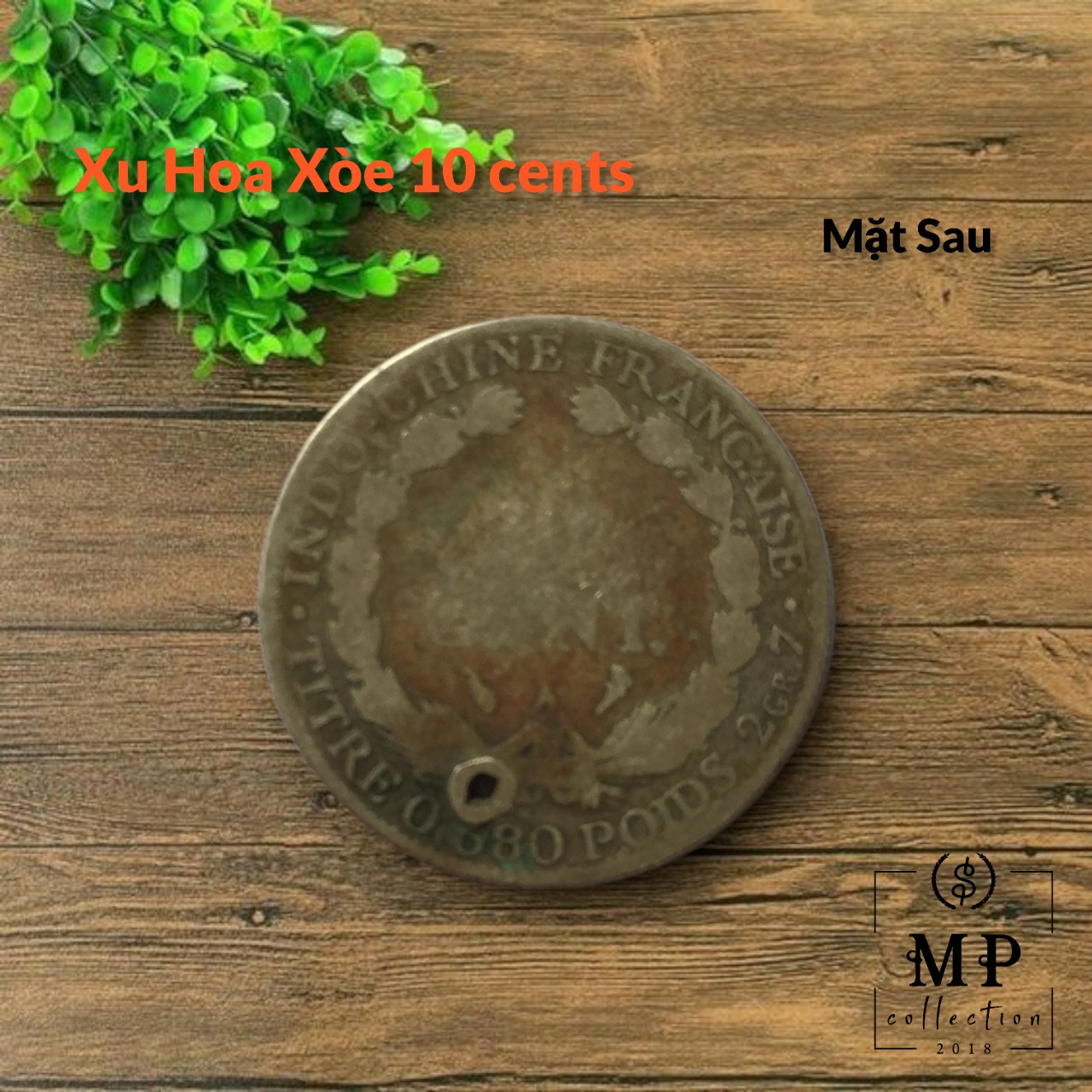 Đồng xu hoa xoè 10 cents chuẩn bạc Đông Dương cổ chât lượng rất cũ đã mòn dùng cạo gió.
