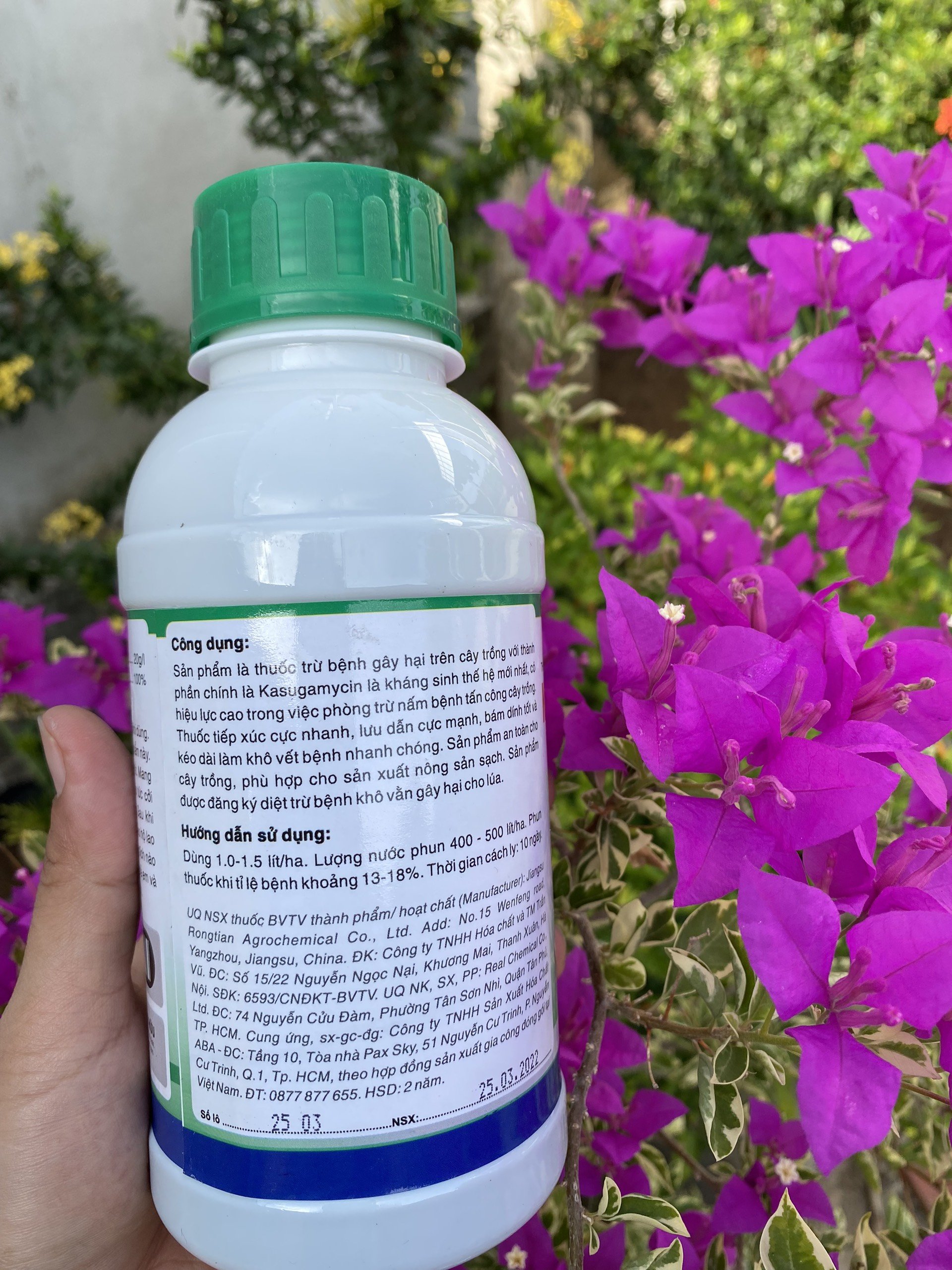 KAMYCIN JAPANE - THUỐC TRỊ NẤM KHUẨN