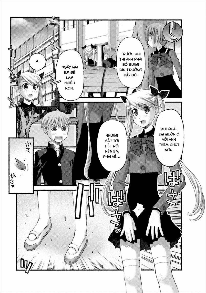 oniichan no koto nanka zenzen suki ja nai n da kara ne!! chapter 43 11