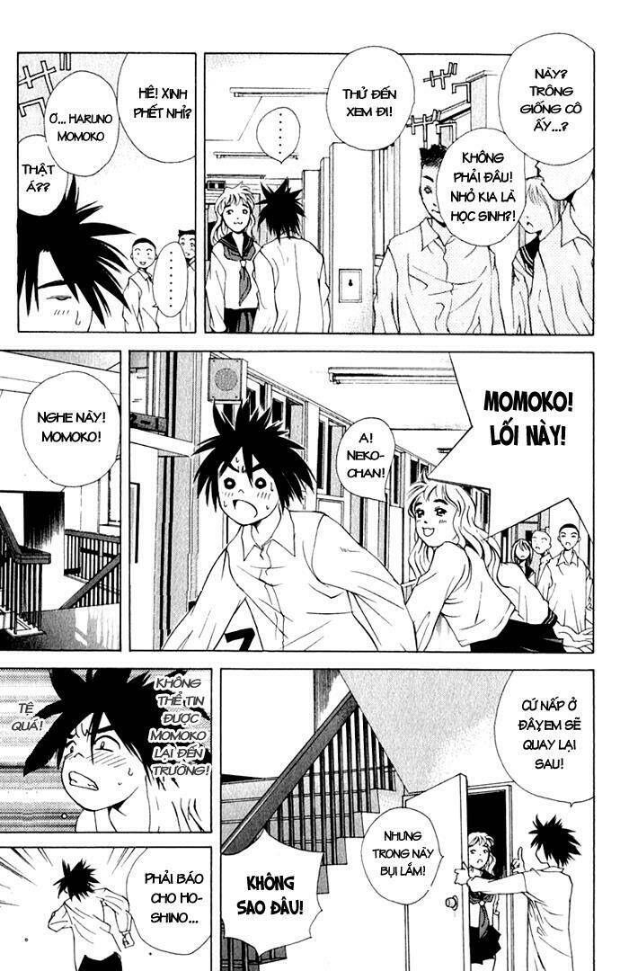 parallel chapter 17 25