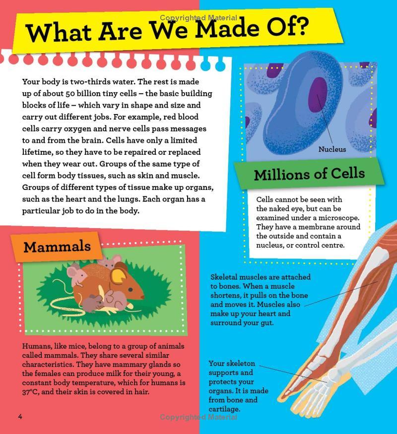 Sách ngoại văn: Discover It Yourself - Inside The Body