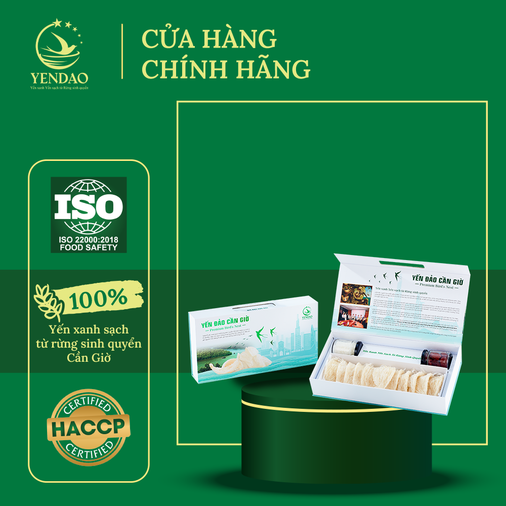 Tổ Yến Silver Yến Đảo Giúp Bảo Vệ Và Tăng Cường Khả Năng Hô Hấp Cho Cơ Thể